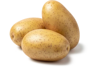 Patates